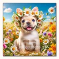 Peinture diamant animaux 30x30 cm chien chat tigre – Couleur VET1928
