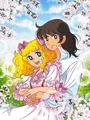 Peinture diamant anime Candy Candy 30x20 à 70x50 cm – Couleur ZXX330-06