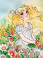 Peinture diamant anime Candy Candy 30x20 à 70x50 cm – Couleur ZXX330-17