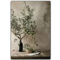 Peinture diamant arbre olivier 20 à 70 cm – Couleur Rouge (03)