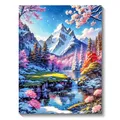 Peinture diamant aurore boréale 30 à 50 cm – Couleur FDX3646
