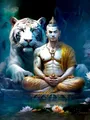 Peinture diamant Bouddha 30 à 70 cm – Couleur ZXX350-08