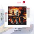 Peinture diamant chat tigre 20x20 à 50x50 cm – 2