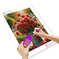 Peinture diamant coquelicot fleur 20 à 70 cm – 2