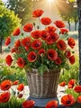 Peinture diamant coquelicot fleur 20 à 70 cm – Couleur 4700