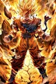 Peinture diamant Dragon Ball Z 20 à 60 cm – Couleur noir (10)