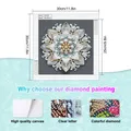 Peinture diamant fleur blanche 30 cm spéciale – 2