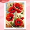 Peinture diamant fleur coquelicot 20x30 à 50x70 cm – 1