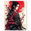 Peinture diamant geisha samouraï AB 30x40 à 45x60 cm – Couleur PDL4391