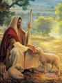Peinture diamant Jésus Vierge 20 à 70 cm – Couleur C2091-9