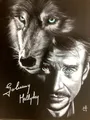 Peinture diamant Johnny Hallyday 30 à 70 cm – Couleur HXP203-13