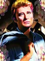 Peinture diamant Johnny Hallyday 30 à 70 cm – Couleur HXP203-2