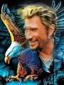 Peinture diamant Johnny Hallyday 30 à 70 cm – Couleur HXP203-23