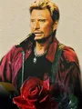 Peinture diamant Johnny Hallyday 30 à 70 cm – Couleur HXP203-5