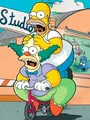 Peinture diamant Les Simpsons 20 à 70 cm – Couleur VIOLETTE/Violet (13)