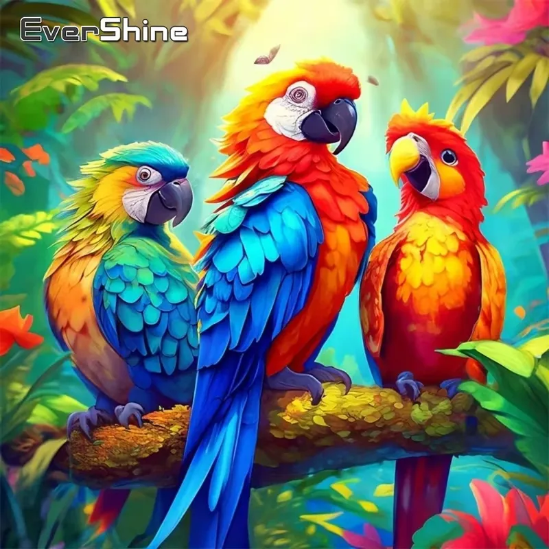 Peinture diamant oiseau perroquet 20 à 50 cm carré ou rond