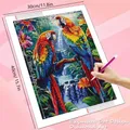 Peinture diamant oiseau perroquet 20 à 70 cm carré ou rond – 2
