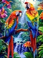 Peinture diamant oiseau perroquet 20 à 70 cm carré ou rond – Couleur 9275
