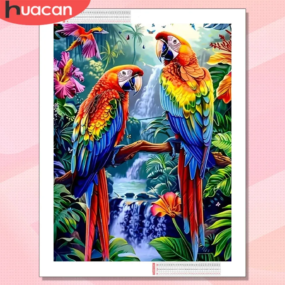 Peinture diamant oiseau perroquet 20 à 70 cm carré ou rond