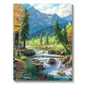 Peinture diamant paysage forêt 20x30 à 40x50 cm – Couleur FDX3692