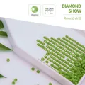 Peinture diamant personnalisée photo 20 à 50 cm – Couleur round diamond