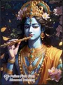 Peinture diamant Radha Krishna 15 à 40 cm – Couleur Bleu (8)