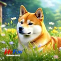 Peinture diamant Shiba Inu portrait rond ou carré 25x25 à 45x45 cm – Color VIOLETTE/Violet