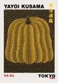 Peinture diamant Yayoi Kusama montagnes rivières 20x25 à 50x70 cm – Couleur Gris clair (07)