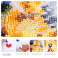 Photo personnalisée peinture diamant 15 à 80 cm – 2