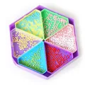 Plateaux de rangement pour peinture diamant 6 fentes – 4