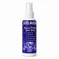 Spray scellant brillant pour peinture diamant 60 à 300 ml – Couleur 60ml