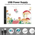 Tableau lumineux LED A3 A4 A5 intensité réglable – 5